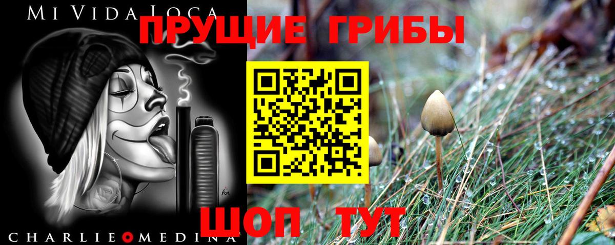 Галлюциногенные грибы MAGIC MUSHROOMS  магазин    Вход с VPN  Таганрог  Галлюциногенные грибы мицелий 