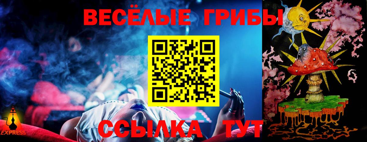 Псилоцибиновые грибы GOLDEN TEACHER Таганрог